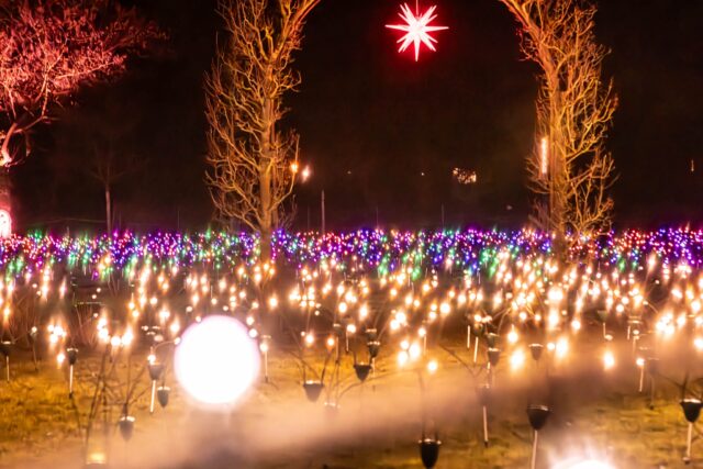 Eine Lichtinstallation - zwei Fotos, die verschiedener nicht sein könnten.
Diese Bilder zeigen perfekt, wie vielfältig unsere Spots beim Lichterzauber sind. Jede Installation, jedes Highlight erzählt seine eigene Geschichte und wirkt je nach Perspektive völlig unterschiedlich. 
Ihr müsst den Park also selbst entdecken!

📸 Hella Wittenberg / Christoph Maier