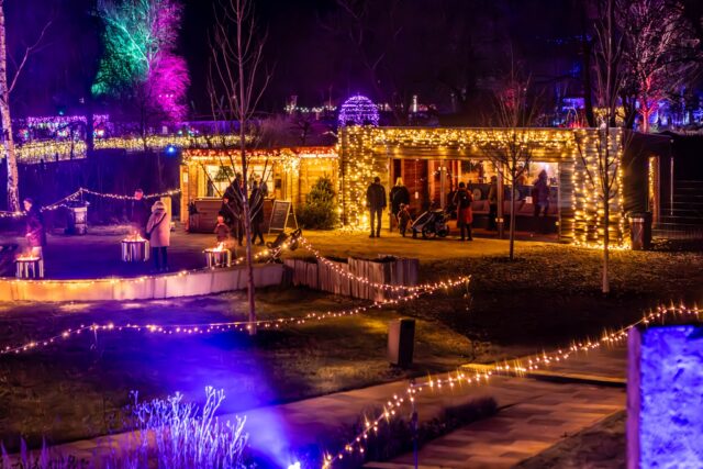 ❄️Tipp an kalten Abenden beim Lichterzauber: Wärmt euch von innen und außen! 

Auf dem Festspielareal findet ihr unsere gemütliche Holzhütte und wärmende Feuerschalen. Hier schmeckt der hausgemachte Glühwein, süße Kinderpunsch oder Kakao gleich noch viel besser. 

📸 Hella Wittenberg