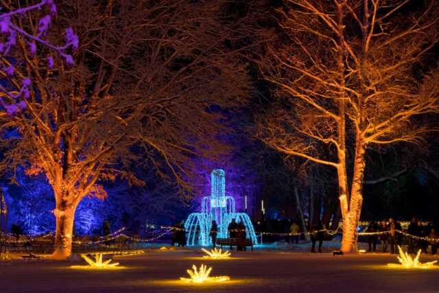 Die Gewinner stehen fest!🏆

Unter allen Tickets, die vom 08.01. bis 11.01. beim Beelitzer Lichterzauber gescannt wurden, haben wir folgende Gewinne verlost:
5 x 2 Dauerkarten für den Beelitzer Lichterzauber 2026 / 2027
Ein exklusiver Zugang für den nächsten Lichterzauber für den Gewinner inkl. Partner, Familie oder Freunde

2 Dauerkarten gewonnen haben folgende Bestellnummern:
-	155230182 (Onlineticket) 
-	154682881 (Onlineticket)
-	01104 (Printticket)
-	154686263 (Onlineticket)
-	02503 (Printticket)

Den exklusiven Zugang hat gewonnen:
-	154686263 (Onlineticket)

Eure Bestellnummern findet ihr bei Onlinetickets in der Bestellbestätigung, die ihr als E-Mail bekommen habt. Gedruckte Tickets enthalten die Nummer auf der Vorderseite der Tickets unten rechts. 

So geht´s weiter:
Die Gewinner melden sich bitte bis 14.02.2026 über kontakt@lichterzauber-beelitz.de unter Angabe ihrer Ticketnummer. Nicht gemeldete Gewinne verfallen nach Ablauf der Frist.

Vielen Dank an alle Besucher. Wir freuen uns auf ein Wiedersehen beim nächsten Beelitzer Lichterzauber.

Foto: Christoph Maier