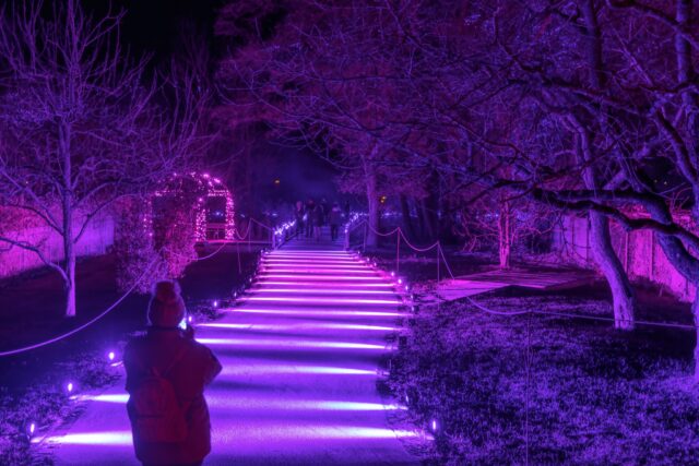 Bye bye Winterblues🌟

Wir alle kennen sie - Die dunklen Wintermonate, in denen die Tage immer kürzer werden und Sonnenlicht Mangelware ist. 
Doch es gibt ein Mittel, um den Winterblues hinter sich zu lassen: LICHT. Und davon gibt es beim LICHTerzauber jede Menge.

Licht hat eine heilsame Wirkung auf Körper und Seele, wie Studien zeigen. Es hebt die Stimmung und fördert das Wohlbefinden.
Lasst den grauen Alltag hinter euch und erlebt wie Licht nicht nur die Dunkelheit, sondern auch die Seele erhellt!
