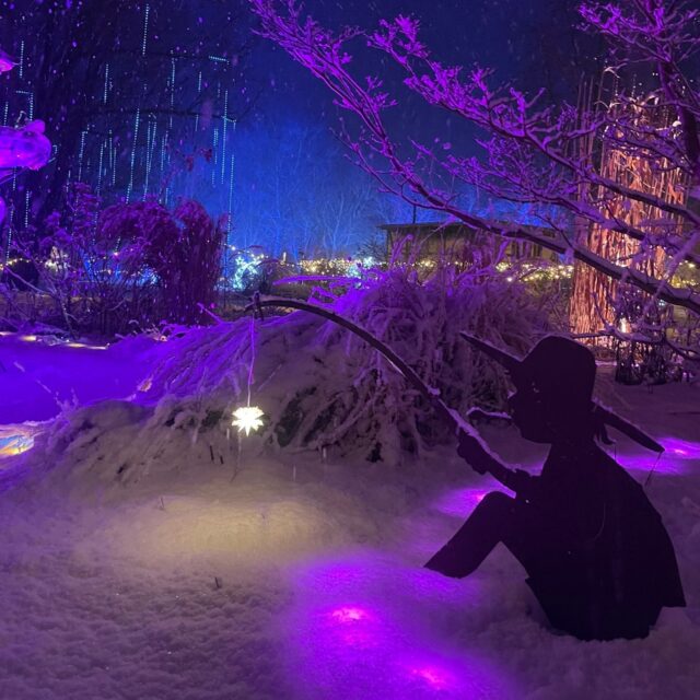 Winterstimmung beim Beelitzer Lichterzauber ❄️✨

#beelitzerlichterzauber #schnee #lichterfest #winterwunderland